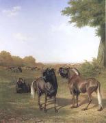 Jacques-Laurent Agasse White-Tailed Gnus (mk25) USA oil painting artist